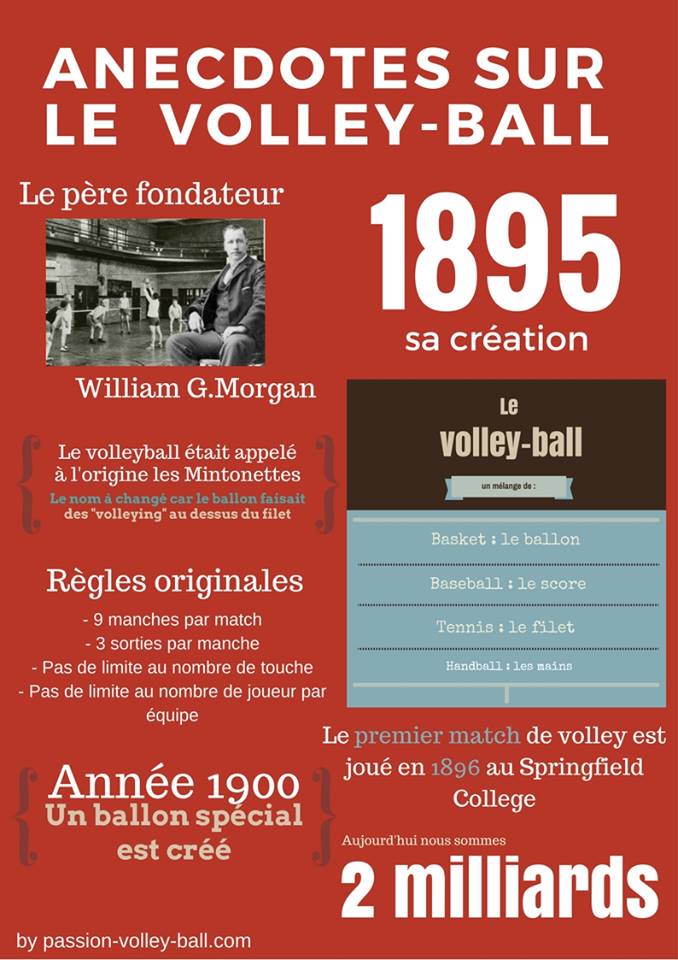 infographie volleyball