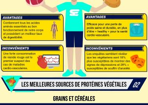 infographie protéines végétales