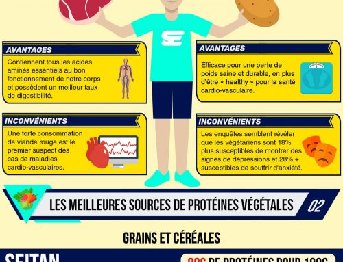 Infographie : protéines végétales VS protéines animales